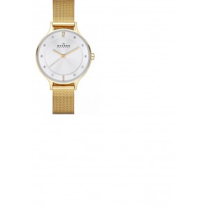 SKAGEN HORLOGEBAND MILANEES (DOUBLE) 12MM (Geen garantie op plating) - 81217 - SKW2150BAND