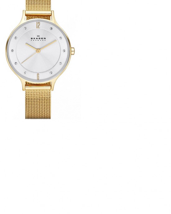 SKAGEN HORLOGEBAND MILANEES (DOUBLE) 12MM (Geen garantie op plating) - 81217 - SKW2150BAND