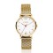 ZINZI HORLOGE "LADY" DOUBLE MESH BAND EN KAST MET WITTE PLAAT 50M - 74636 - ZIW607M